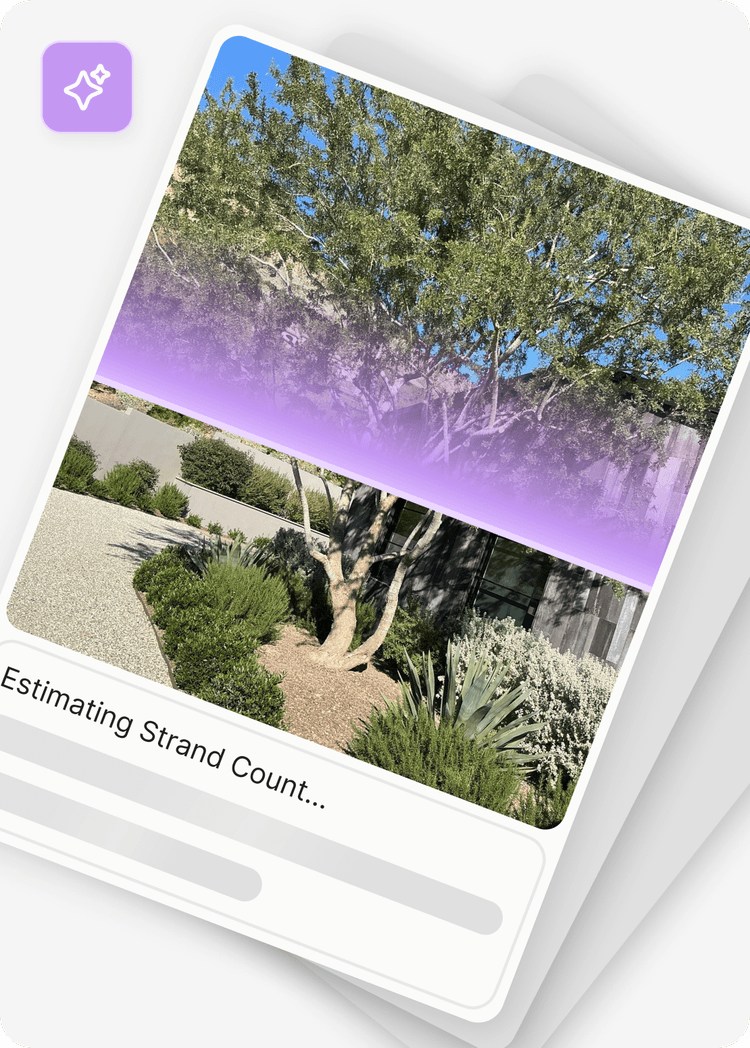 AI tooling — estimating strand count from a property photo